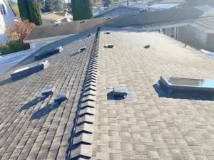 Recently completed NearMe Roofing project 3