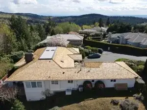 Black Streaks on Roof: What to Do About Them