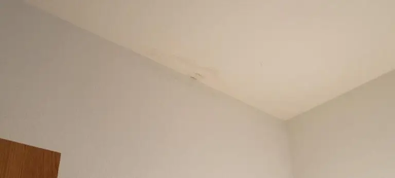 ceiling leak stain