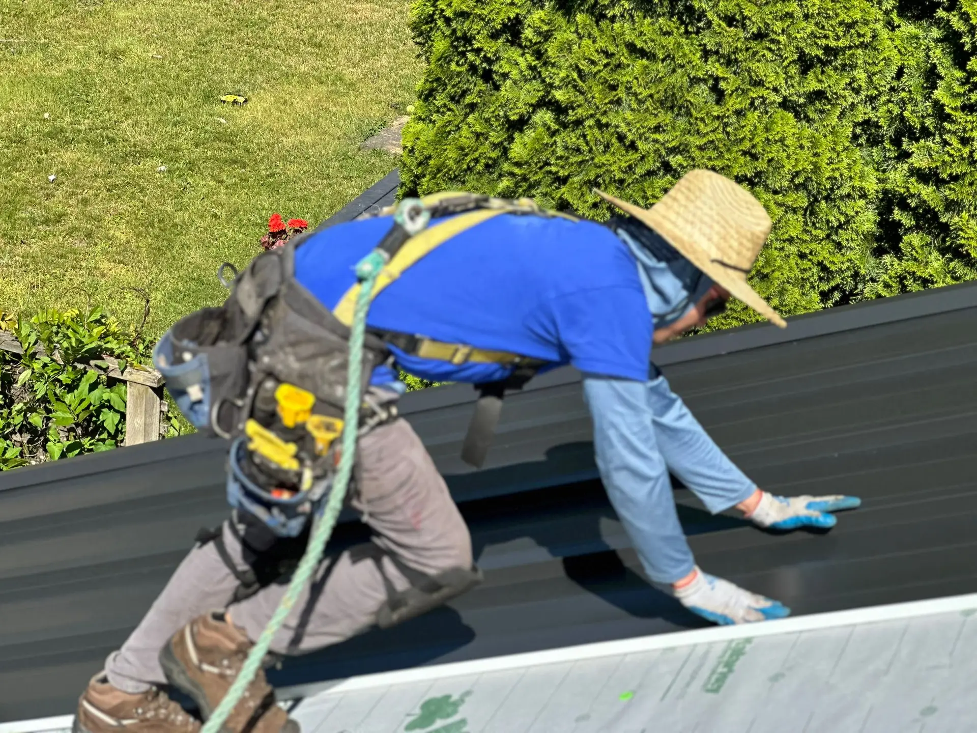 Read more about the article Which are the Best Roofing Companies in Bellevue?