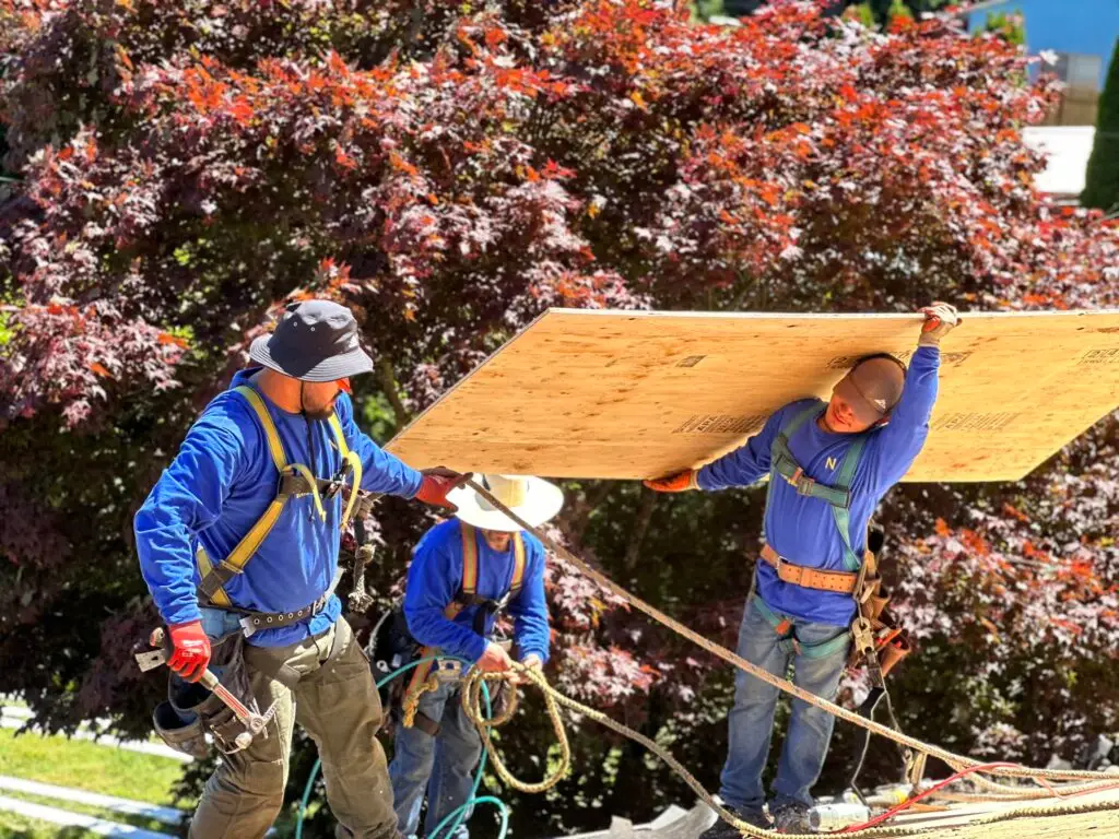 men carrying roofing sheet