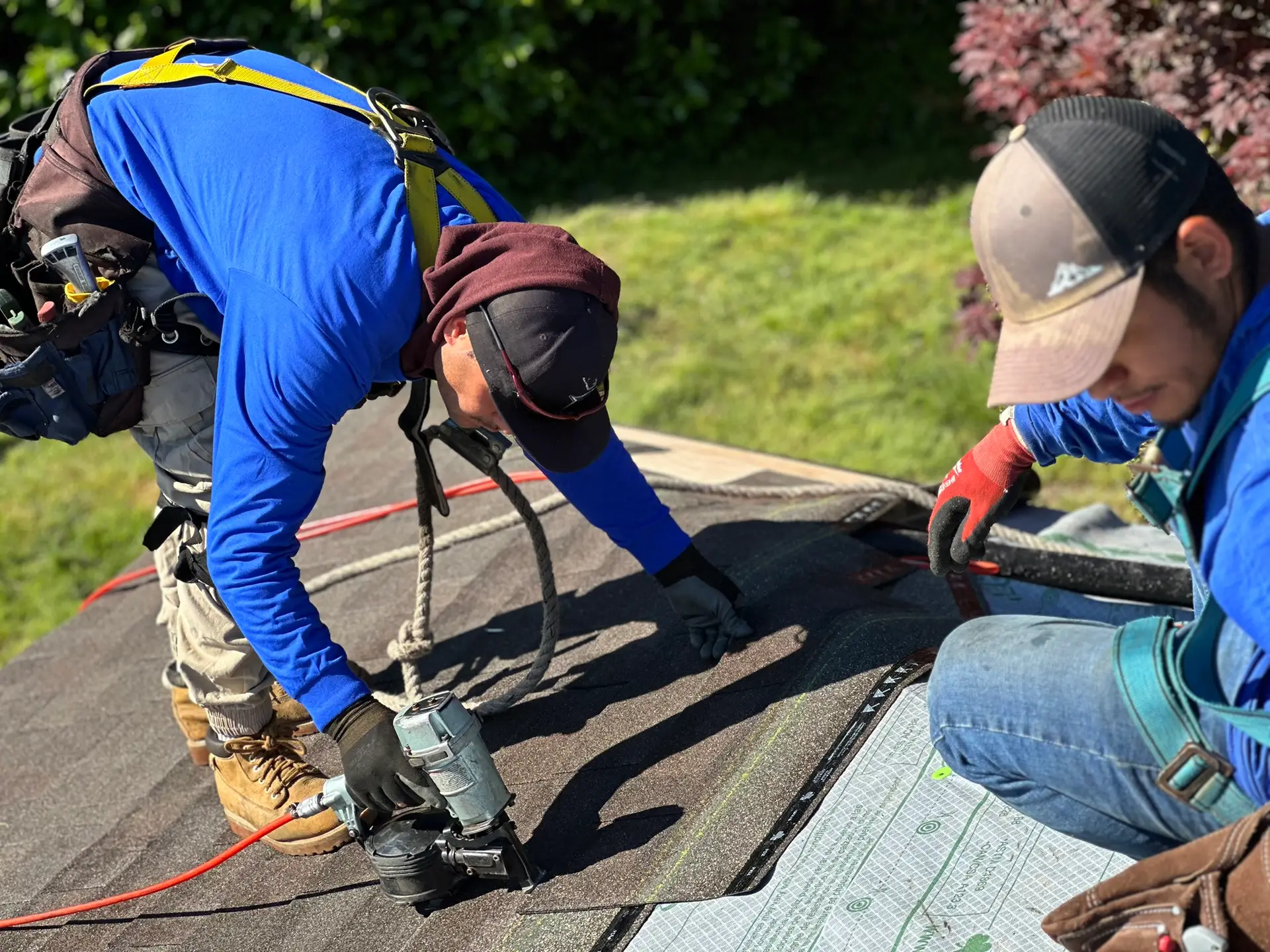 a professional roofer fixing leaks